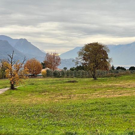 La Finestra Sul Garda Dreaming Holidays San Felice del Benaco Dış mekan fotoğraf