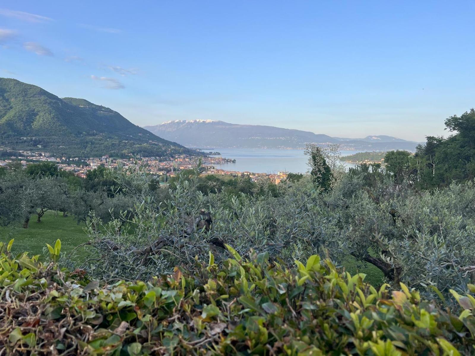 La Finestra Sul Garda Dreaming Holidays San Felice del Benaco Dış mekan fotoğraf