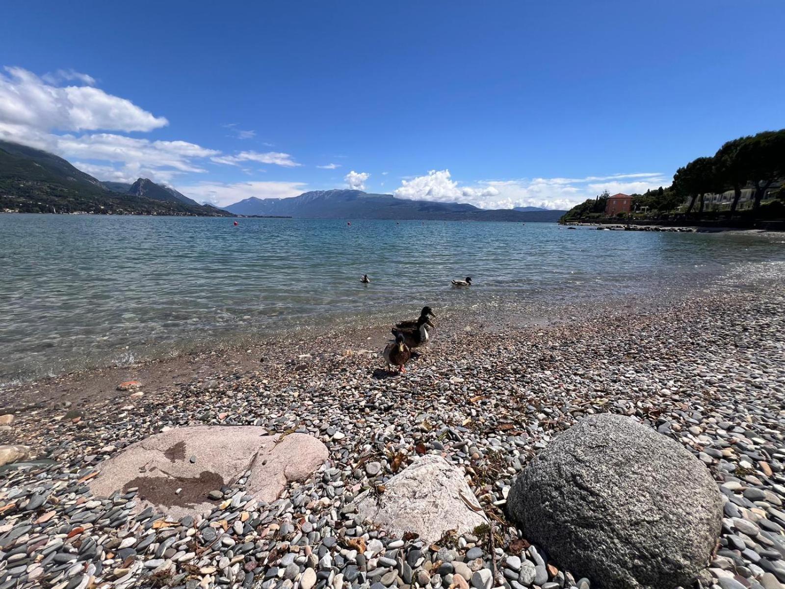 La Finestra Sul Garda Dreaming Holidays San Felice del Benaco Dış mekan fotoğraf