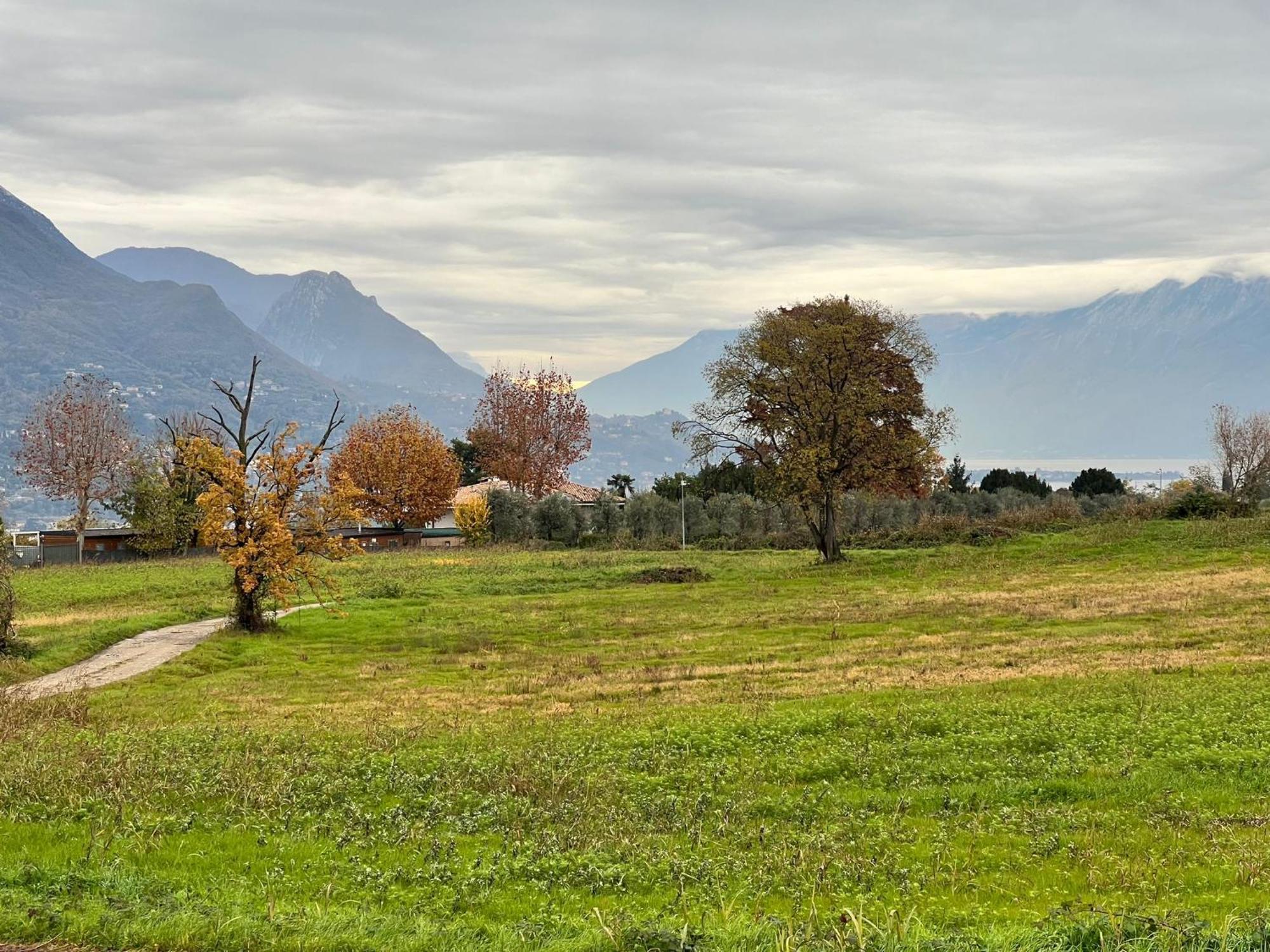 La Finestra Sul Garda Dreaming Holidays San Felice del Benaco Dış mekan fotoğraf