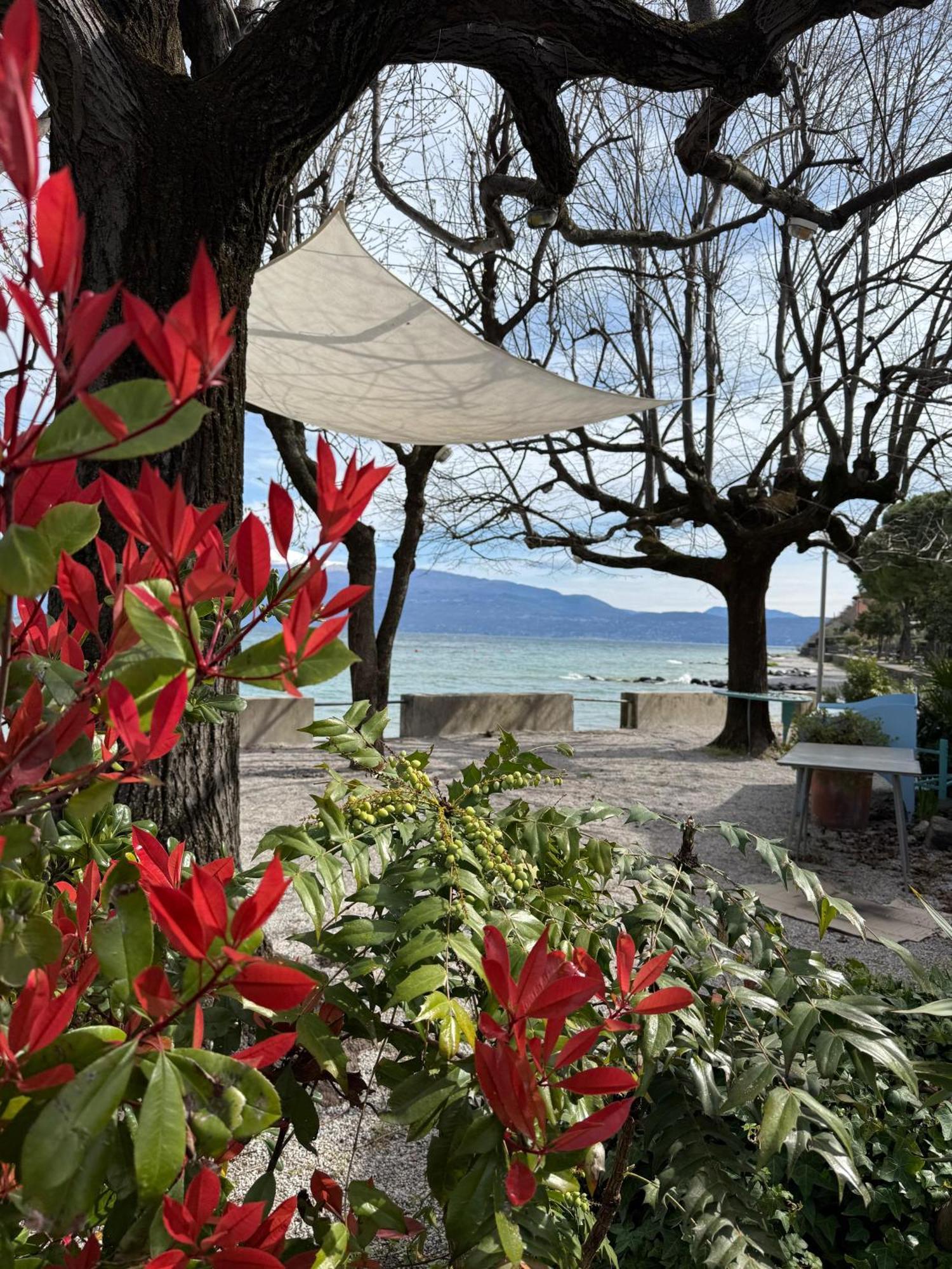 La Finestra Sul Garda Dreaming Holidays San Felice del Benaco Dış mekan fotoğraf